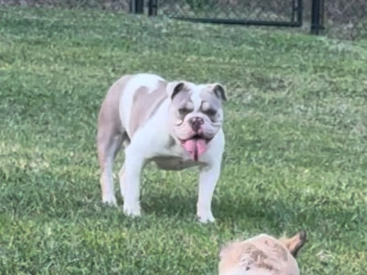 Chloe